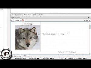Animal Species Classification System Using Machine Learning In PYTHON - IntenPro Technologies