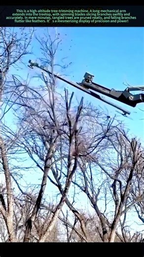 Incredible Tree Trimming Machine—Precision Cutting in the Air