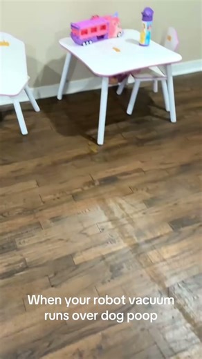Robot Vacuum / Mop Runs Over Dog Poop #roomba #shark #vacuum #irobot #dogfail #petfail #Airrobo