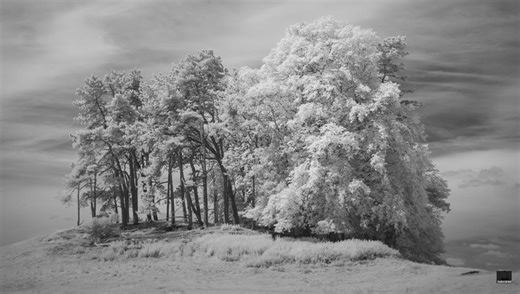 The Joys of Infrared Landscape Photography