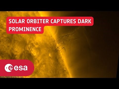 A solar prominence hovers over the Sun