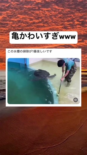 大変そうww #バズ #水族館 #爆笑 #海亀 #ネタ動画