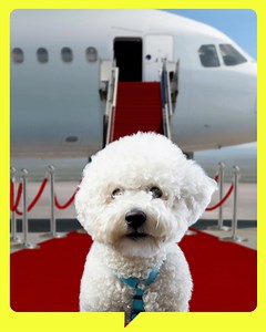 18K views · 56 reactions | ZDFinfo on Reels | Facebook