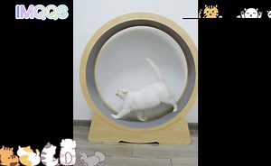 Cat Running Wheel, Cat Exercise Wheel, Cat Wheel Exerciser for Indoor Cats, Cat Treadmill Wheel with Safety Lock, Cat Fitness Weight Loss Device, Noiseless, Relieve Lack of Exercise(42 inches)