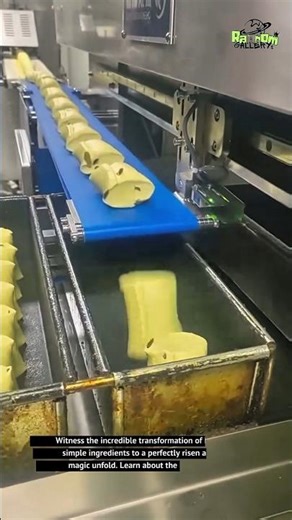 Bread Dough Transformation: From Ingredients to Perfection!