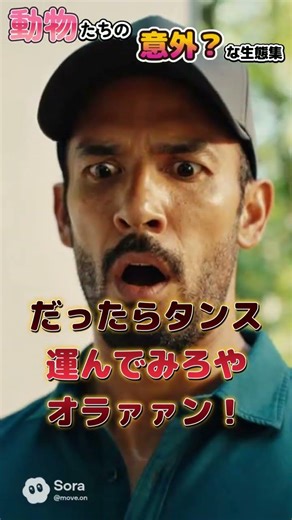 動物たちの意外な？生態集 53 #ハキリアリ #フンコロガシ #雑学 #動物 #ペット #生態 #shorts