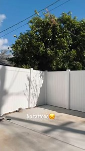 96K views · 1.6K reactions | What’s your type?  • • • #reels #reel #foryou #swimsuit #tattoos #notattoos #tattoo #instamood #summer #bikini #spring | Freya Parker | Facebook