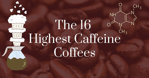 The 16 Highest Caffeine Coffees in 2022