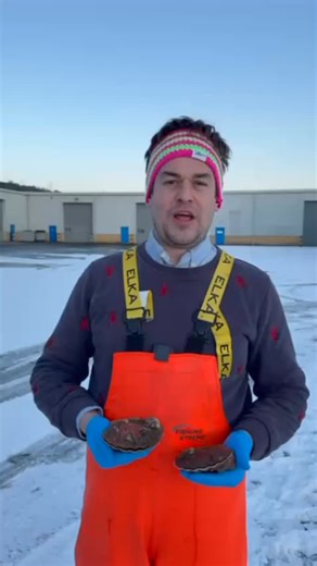 Despite the rubbish weather, we’re smack bang in the middle of the season for a whole host of beautiful species - especially shellfish. I’ve done a terrible job of suggesting three species from each of the main categories that you’ll find on the Pesky market in January. As always, any questions, send us a message or WhatsApp. | Pesky Fish