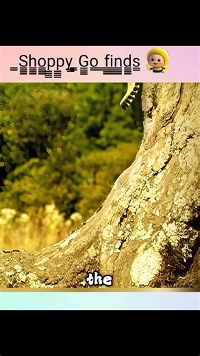 #cartoons #viral #trending #reels - #CartoonReels #AnimatedShorts #FunnyCartoons #QuickAnimation #DailyDoseOfCartoons | ̳S̳̳h̳̳o̳̳p̳̳p̳̳y̳ ̳G̳̳o̳ ̳f̳̳i̳̳n̳̳d̳̳s̳