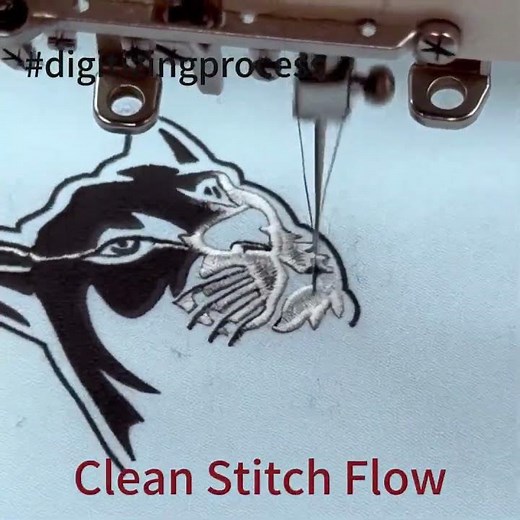Professional Embroidery Digitizing Process