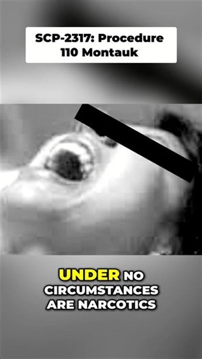 SCP-231: Psych Waivers for Class-D – Sympathy Forbidden | 110-Montauk Rules