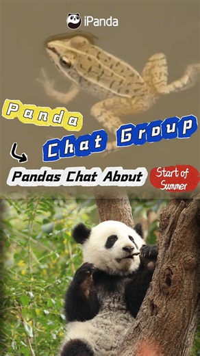 32K views · 383 reactions | This year’s Start of Summer broadcaster...