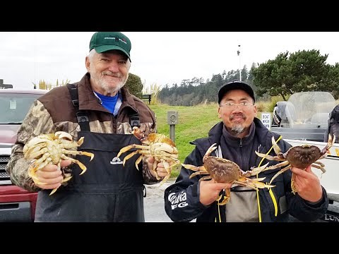 Oregon Coast Crabbing - Catching Big Dungeness Crabs