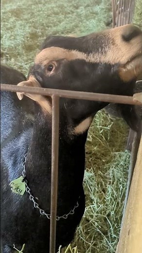 California’s Hidden Wine Country | Discover Anderson Valley