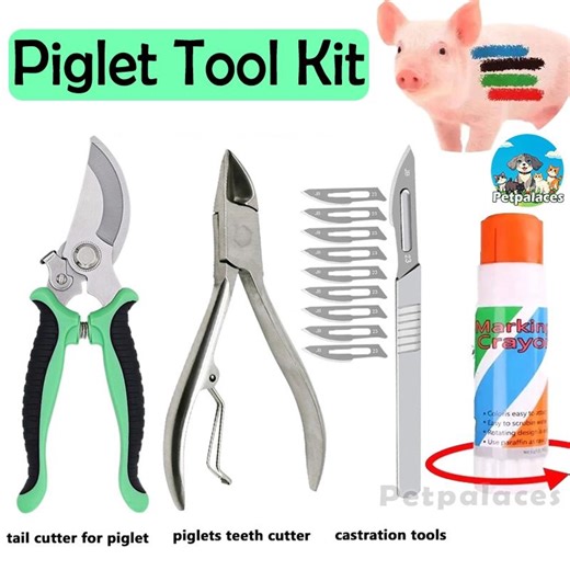 4 In 1 Piglet tool kit Stainless piglet teeth cutter+Tail cutter+Castration - TikTok Shop Philippines