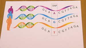 Home DNA kit test leaves local woman grappling with shocking results