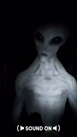 UNBELIEVABLE Alien Encounter Nobody Can Explain 😱