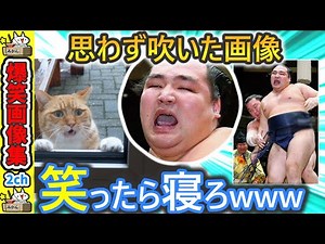 【面白画像】この画像で笑ったら寝ろ by 2ch
