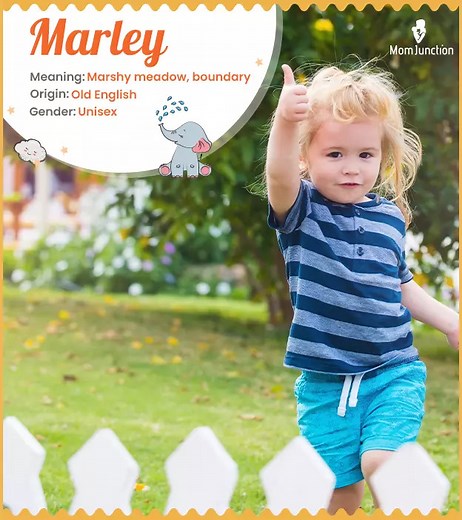 Marley Meaning, Origin, History, And Popularity