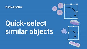 BioRender Learning Hub | Quick-select similar objects