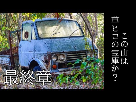 無数の草ヒロ群を撮影し、頂上で待ち構えていた草ヒロとは？？