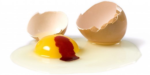 Is It Safe to Eat Eggs with Blood Spots?