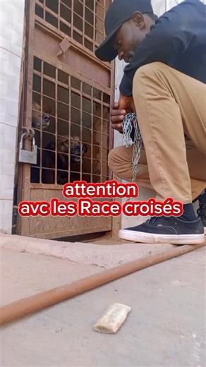 Les dangers des races croisées chez les animaux