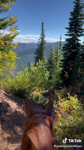 🍁⛰🐴 #montana #mountain #views #horsesoftiktok