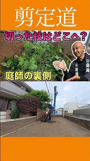 《Cleaning Up Branches and Leaves》 Behind the Scenes with a Gardener: Turning Clippings into Compo...