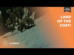 Land of the Coati | Mutual of Omaha's Wild Kingdom