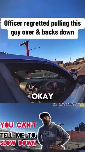 Confrontation with a Police Officer during Traffic Stop