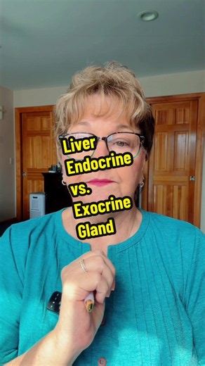 Bet your professor never told you the liver is a dual gland. Ducts out vs. blood direct — which organ actually surprised you? #EndocrineSystem #ExocrineSystem #LiverFunction #LiverPhysiology #EndocrineGland