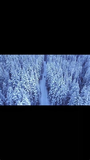 DRUD IBRAHIMI #islamicshorts #viral #viralvideo #viralshorts #foryou