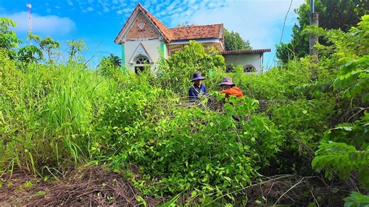 5-Year-Old CEO Returns After 10 Years… Finds His Parents’ House Turned Into a Jungle P1 #clean #cleaning #cleaninghouse #cleaningteam #housekeepingteam | Clean The Old House