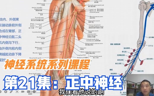 手指发麻，无力，肌肉萎缩，前臂疼痛？李医生：当心正中神经卡压