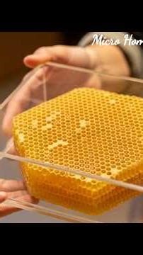 How to Sell #Honeycomb: The Guide to Producing & Marketing Premium Comb Honey