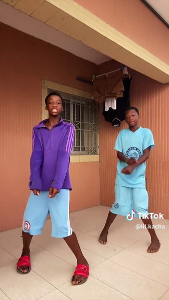 Dancing Dogs: The Cutest Pet Videos on TikTok