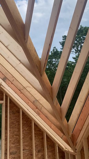 morton.ben on TikTok