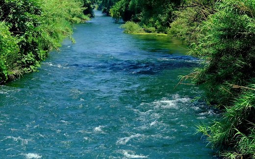 4K视频 - 自然风景 - 流淌的河流