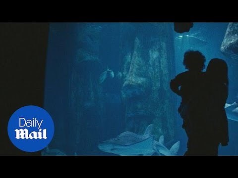 MI6 first ever recruitment video for Intelligence Officers