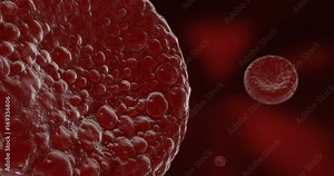 Animation of blood cell or red blood cell flowing in stream in artery of human body