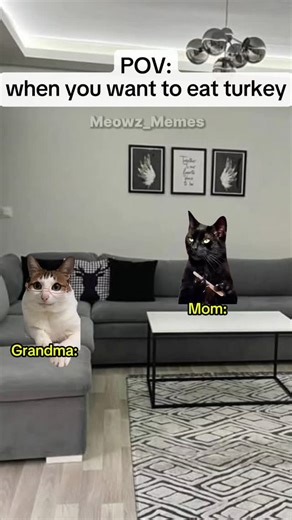 Meowz Memes on Instagram: "When you want to eat Turkey #catmemes #cat #reels #memes"
