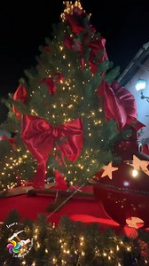 41K views · 872 reactions | Hoy dieron inicio los desfiles navideños...