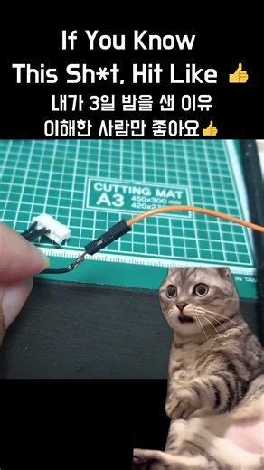 If You Know This Sh*t, Hit Like 👍