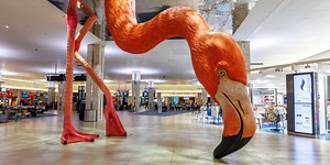 Tampa Airport Announces Divisive New Dress Code Rule Banning This Popular Travel Outfit