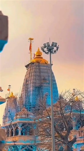 Jai sawariya seth🙏#sawariya_sarkar_status #sanwaliyaseth #mandpiya #sawariyabhajan #trending #viral