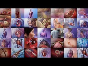 Visible Body | Physiological concepts explained using 3D animations