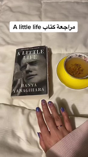 A Little Life Book Review and Insights
