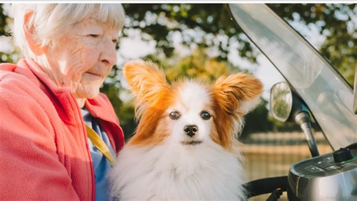 Leica M11 JPEG Performance in Real Shooting | Fstoppers